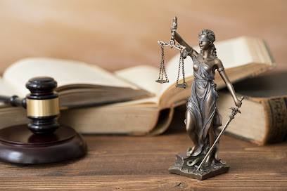 The Stein Law Group