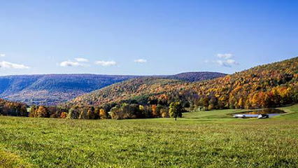 Bleczinski Kleiman & Klein, LLC
