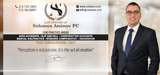 Law Offices of Solomon Aminov PC