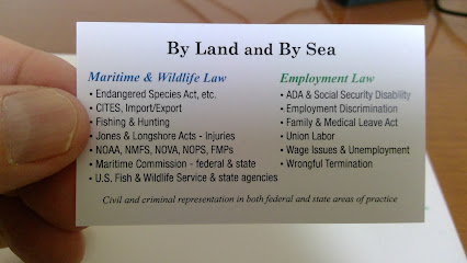 Law Office of Patrick Flanigan