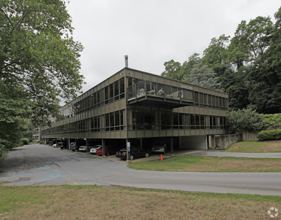 The Delaware Counsel Group