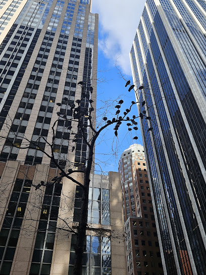 Goidel & Siegel LLP